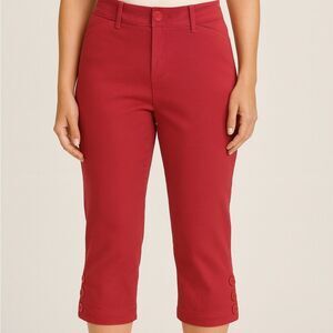 Counterparts Capris Salmon Color Size 14